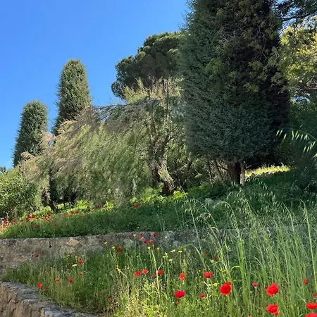 Cozy, Renovated Cannes, Croix Des Gardes Cannes